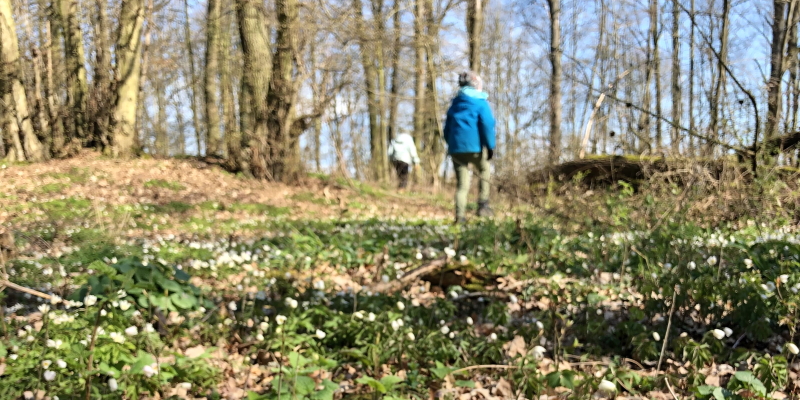 fortbildung-fuer-tageseltern-erzieherinnen-eltern-oder-grosseltern-in-albachten-2