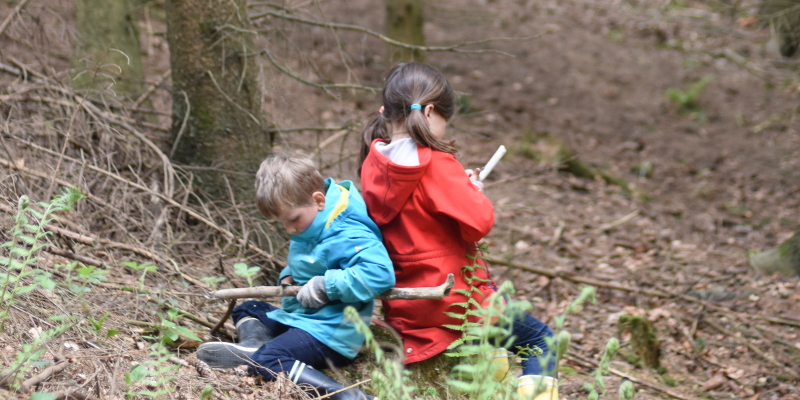 naturerlebnis-im-wald-in-wolbeck